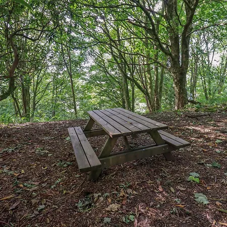 Abbots Reading Mews 1 度假居 雷克赛德