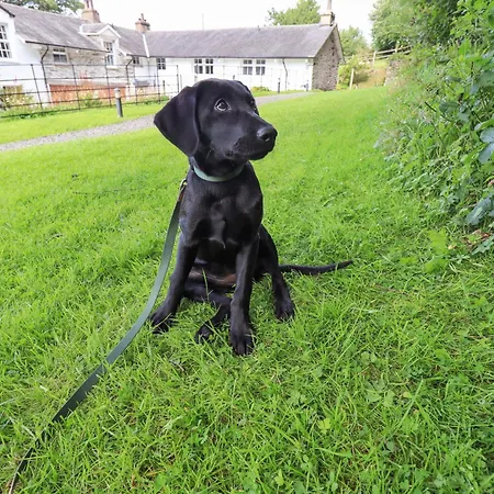 Сasa de vacaciones Abbots Reading Mews 1 *